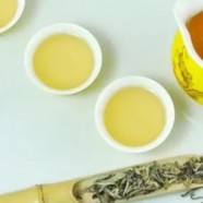 北港毛尖属于绿茶吗