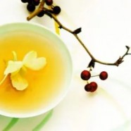 珠兰花茶冲泡方法