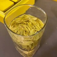 白琳工夫多少钱