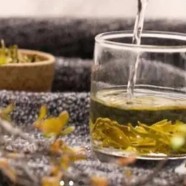 政和工夫红茶价格