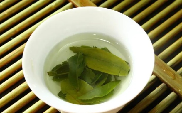 六安瓜片是哪儿的特产