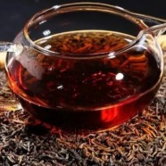 踏雪兰妃几月份出新茶