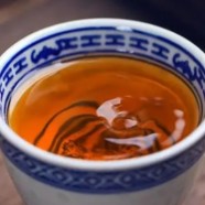 贡菊是白菊花吗