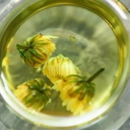 胎菊好还是贡菊好