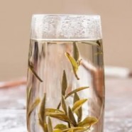 信阳白茶是纯还是仿