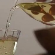 远安黄茶怎么样