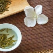 平阳黄汤什么味道