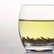 莫干黄芽的特点是什么