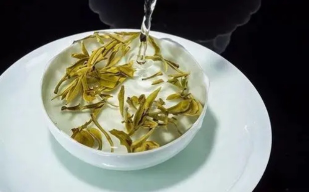 杭白菊产地.jpg