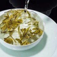杭白菊产地