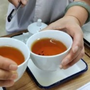 海马宫茶多少钱一斤