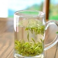 沩江白毛尖茶产于哪个省
