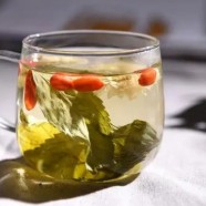 广东大青叶为什么属黄茶
