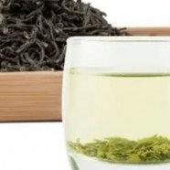 鹿苑毛尖是什么茶