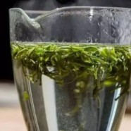 江山绿牡丹茶需多少钱