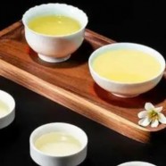 苦丁茶起什么作用