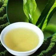 桂东玲珑茶可以长期喝吗