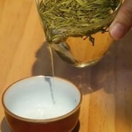 高级绿茶苍山雪绿生长环境