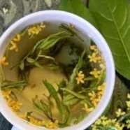 珠兰花茶用白珠兰好吗