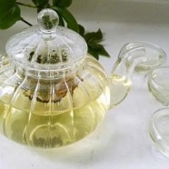 玳玳花茶好喝吗