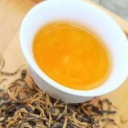 英德红茶英红九号产地