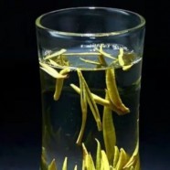 踏雪兰妃属于什么茶类