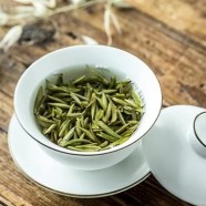 信阳白茶是不是白茶