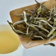 远安黄茶是什么茶