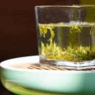 莫干黄芽属于绿茶吗
