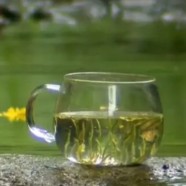 海马宫茶一斤多少钱