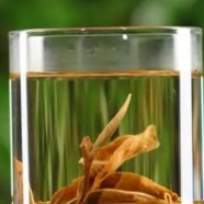 古树月光白是什么茶