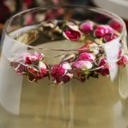 金边玫瑰茶可以天天喝吗