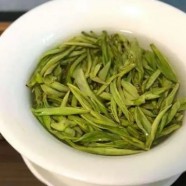 桂林毛尖的由来