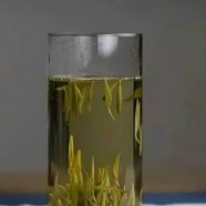 鹿苑毛尖是哪里的