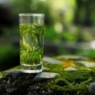 长兴紫笋茶是什么茶