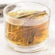 苦丁茶是茶吗