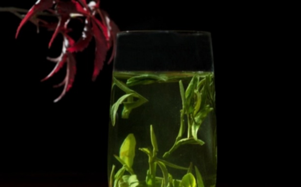 蒲江雀舌茶叶多少钱一斤.jpg 蒲江雀舌茶叶多少钱一斤.jpg