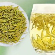 霍山黄芽和黄金芽的区别