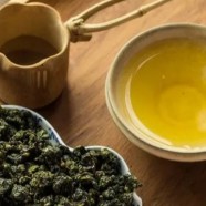 台湾高山茶是什么品种