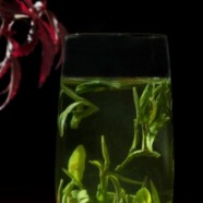 蒲江雀舌茶叶多少钱一斤