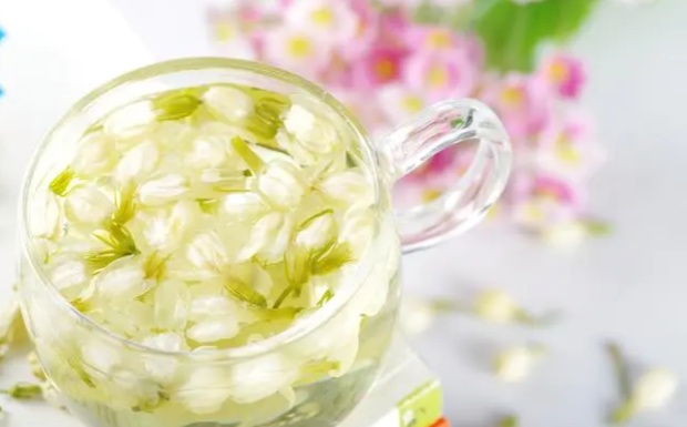 茉莉花茶怎么样.jpg
