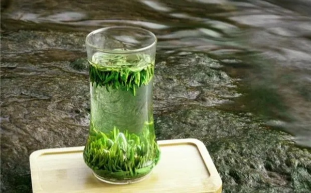 峨眉竹叶青是什么茶.jpg 峨眉竹叶青是什么茶.jpg