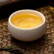 福建松溪白茶为啥比福鼎白茶便宜