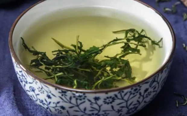 蒲公英茶效果怎么样.jpg