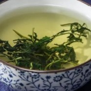 蒲公英茶效果怎么样