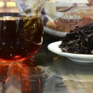 老班章什么时候开始有的