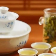 信阳白茶创始人周开启是哪里人