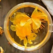 金莲花茶怎么泡