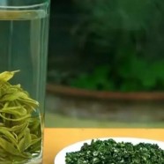松萝茶是什么茶