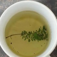 高桥银峰创制于哪一年